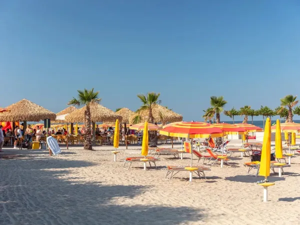 Plage du camping Roan Spiaggia e Mare.