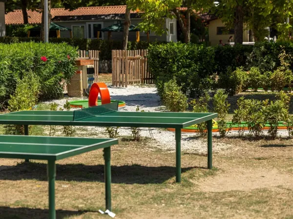 Tennis de table au camping Roan hu I Pini village.