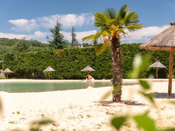 Lagune au camping Roan de Galaure.