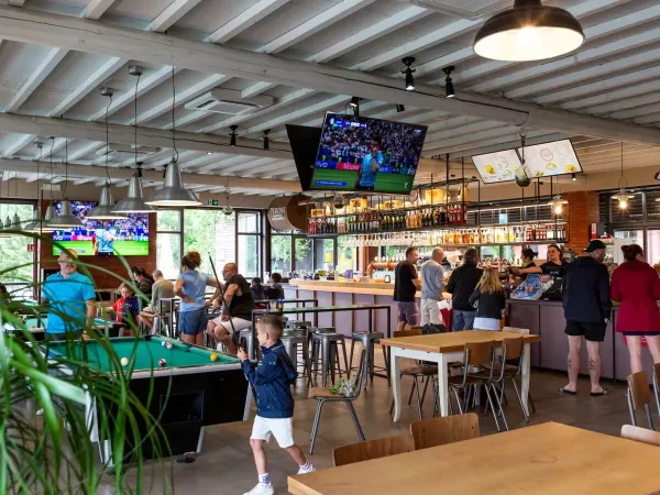 Regarder le sport au bar du camping Roan hu Norcenni Girasole village.