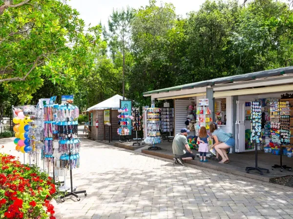 Boutiques de souvenirs au camping de Roan hu Montescudaio.