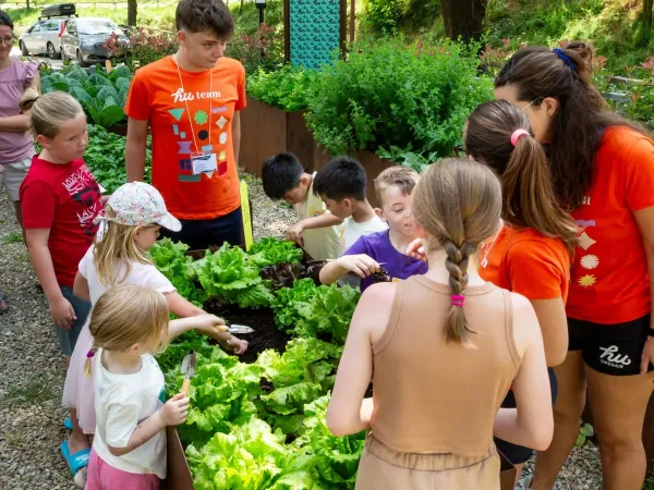 Enfants et équipe d'animation dans le jardin potager du camping Roan hu Norcenni Girasole.