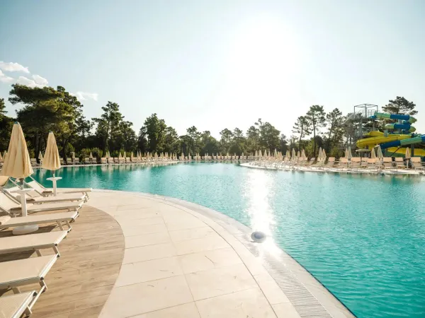 Nouvelle piscine avec chaises longues et parasols au camping Roan Zaton Holiday resort.