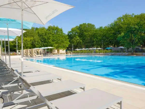 Piscine olympique avec chaises longues au camping Roan Bijela Uvala.