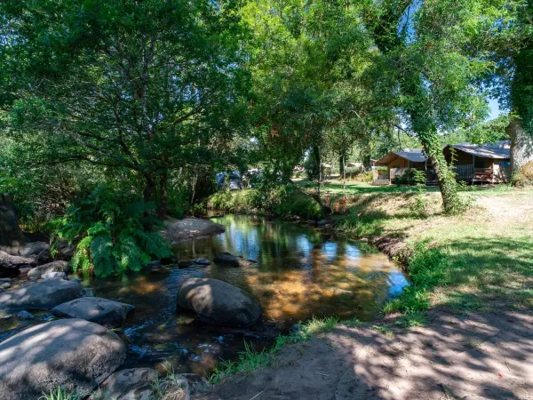 Ruisseau au camping de Roan Le Ty Nadan.