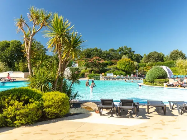 La piscine avec chaises longues et le beau jardin du camping Roan La Grande Métairie.