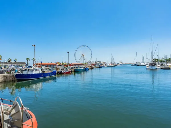 Le village de Saint-Cyprien est accessible à pied, depuis le camping Roan Le Soleil de la Méditerranée.