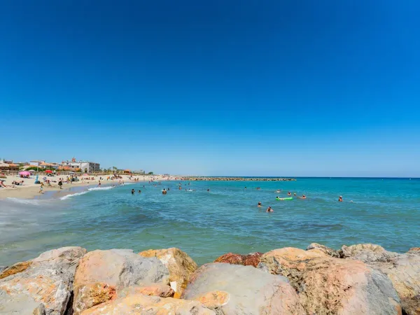 La plage de Saint-Cyprien se trouve à 800 mètres du camping Roan Le Soleil de la Méditerranée.