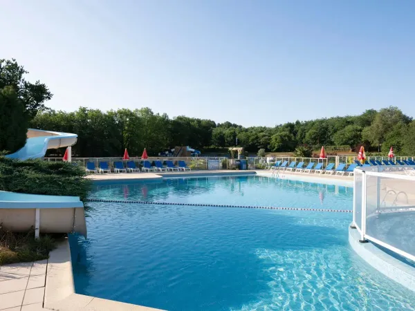 Piscine extérieure au camping Roan Avit Loisirs.