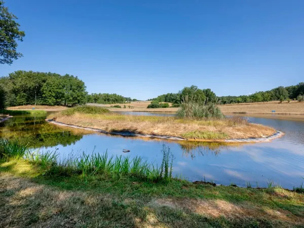 Eau à proximité du camping de Roan Saint Avit Loiris.