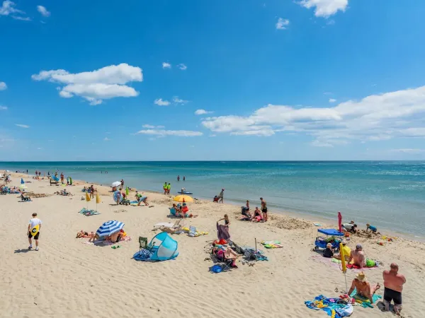 La plage de sable fin du camping Roan Les Méditerranées Beach Garden.