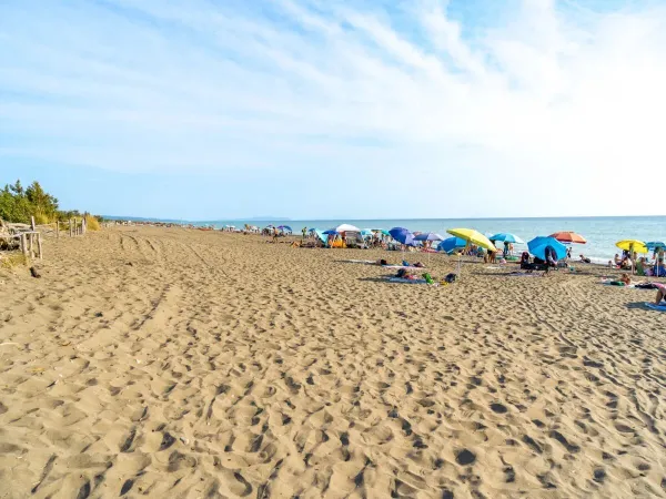 La plage du camping Roan Del Forte.