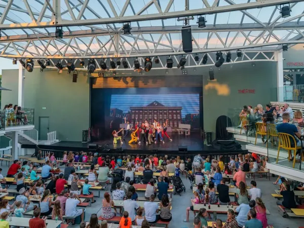 Le public assiste à un spectacle nocturne au camping Roan La Sirène.