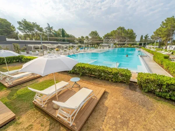Chaises longues et parasols au bord de la belle piscine du camping Roan Valanela.