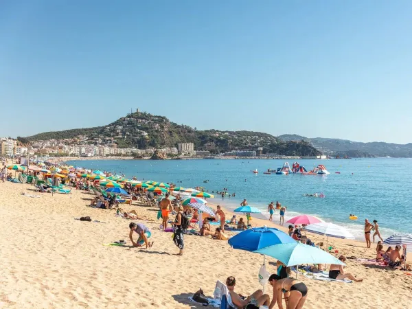 Des personnes prennent un bain de soleil sur la plage de sable du Roan Camping El Pinar.