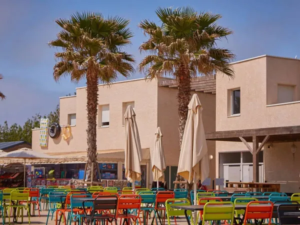 La terrasse colorée avec les palmiers du camping Roan Le Petit Mousse.