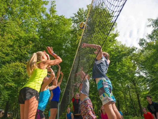 Les enfants jouent au volley-ball au camping Roan Le Lac des Vieilles Forges.