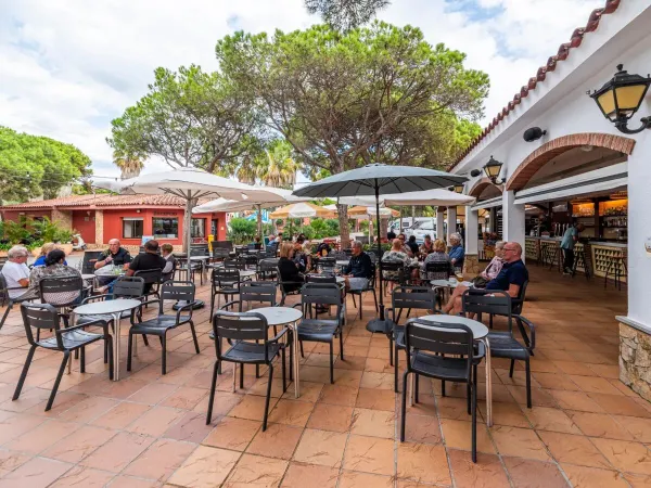 La terrasse atmosphérique du Roan camping Bella Terra.