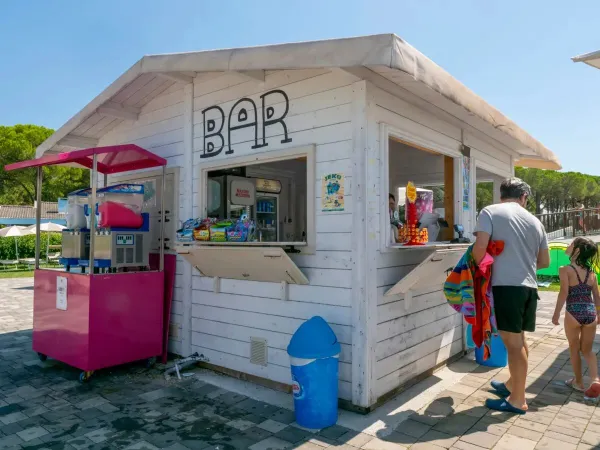 Bar de la piscine avec glaces et boissons au camping Roan Marina Julia Camping Village.