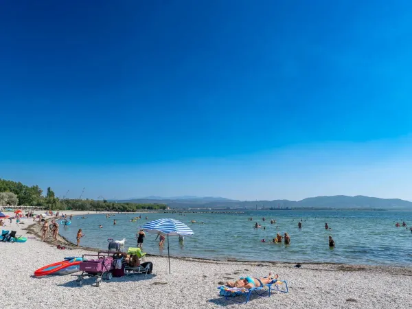 Plage de galets au camping Roan Marina Julia Camping Village.