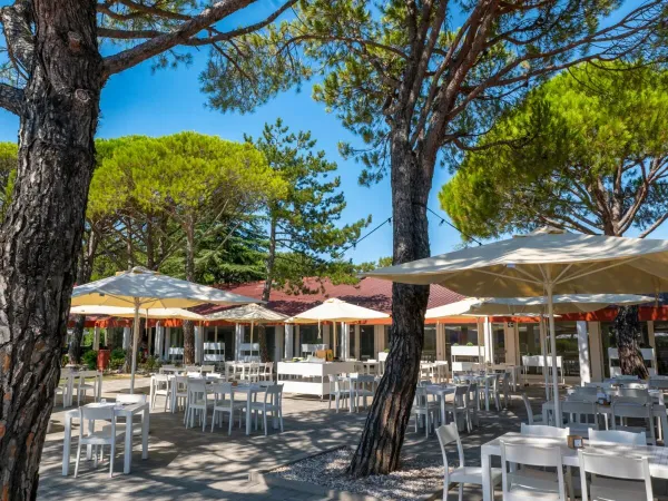 Terrasse ombragée au camping Roan Marina Julia Camping Village.