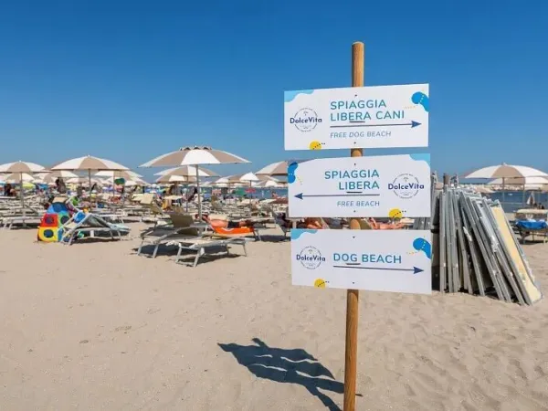 La plage de sable de la côte adriatique directement adjacente au camping.