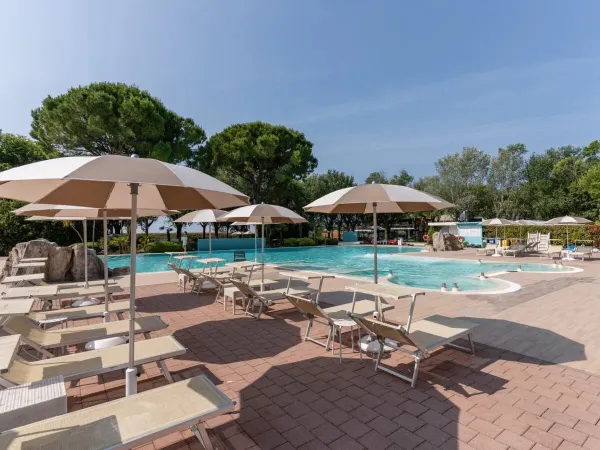 Chaises longues au bord de la piscine du camping Roan Tenuta Primero.