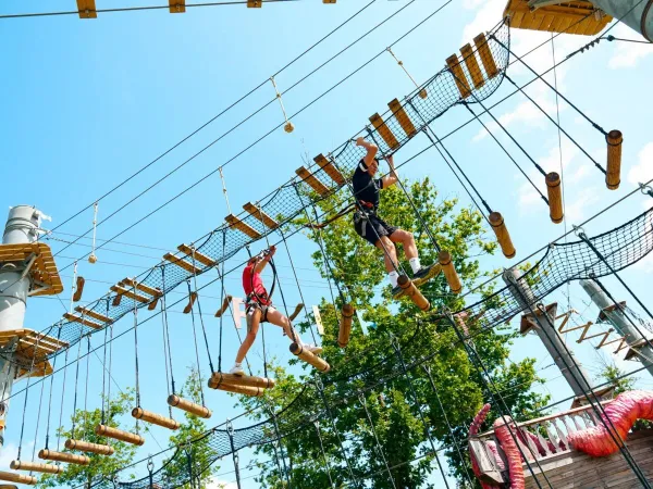 Les enfants grimpent sur le parcours d'escalade du camping Roan Le Lac des Vieilles Forges.