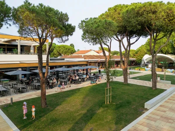 Le nouveau restaurant du camping Roan Pra'delle Torri.