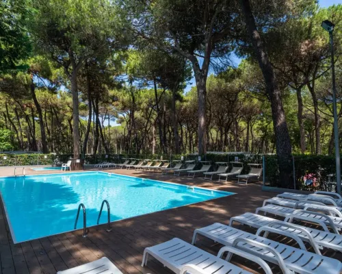 Piscine avec chaises longues au soleil et à l'ombre des pins au camping Roan Sole Family Village.