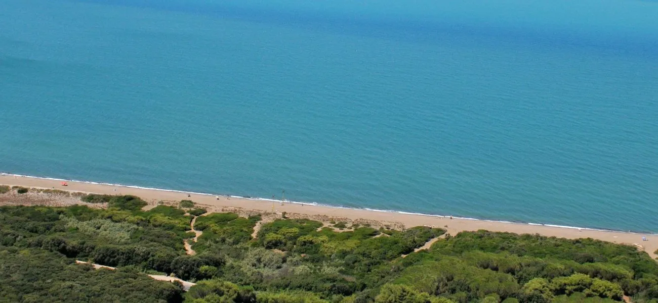 Campings à Bibbona / Marina di Bibbona