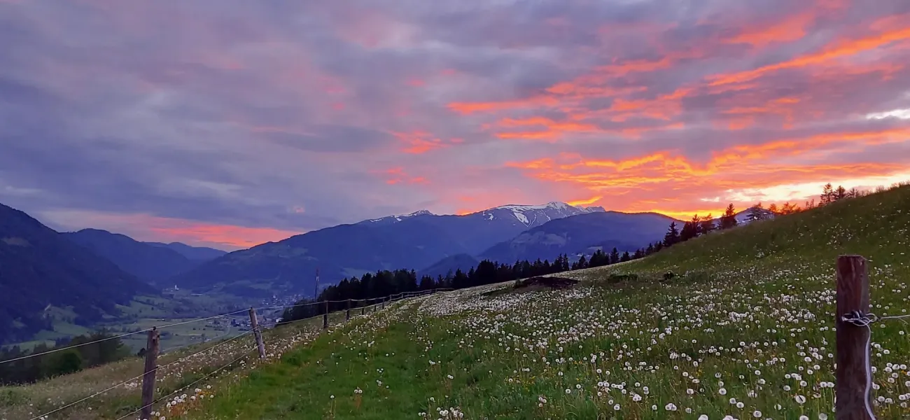 Noël de dernière minute