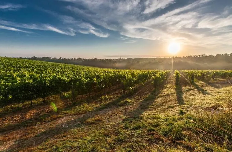 Vivre des vacances dans la belle Toscane