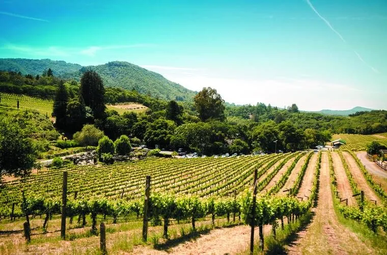 La beauté naturelle du sud de la France