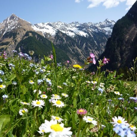 Réservez vos vacances de dernière minute en Autriche