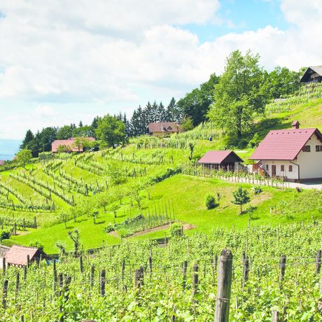 Réservez des vacances de dernière minute en Slovénie