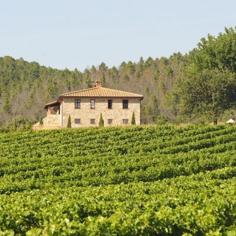 Des vacances de dernière minute en Provence