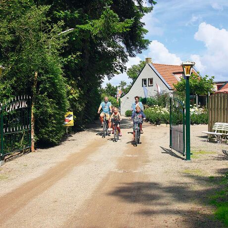 Nos campings en Frise