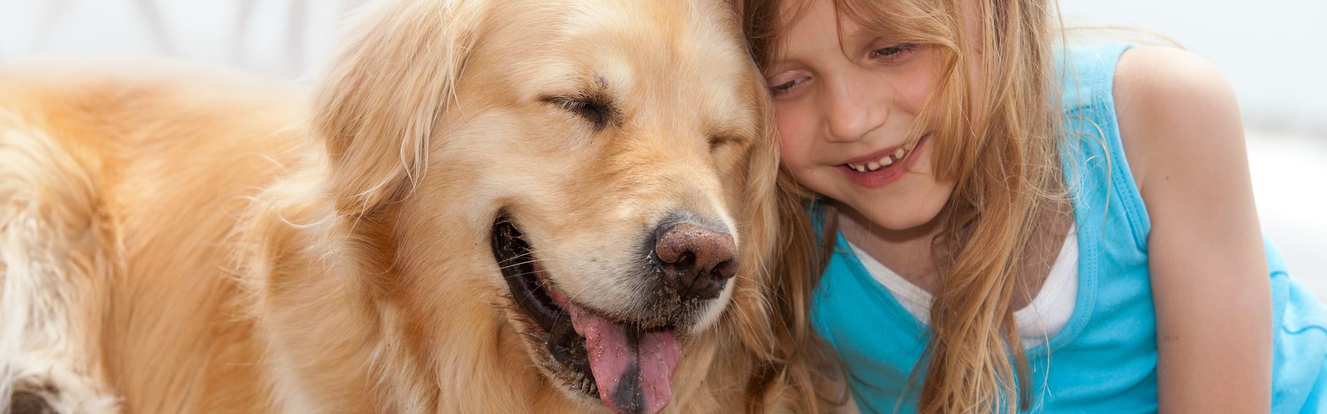En vacances avec votre chien