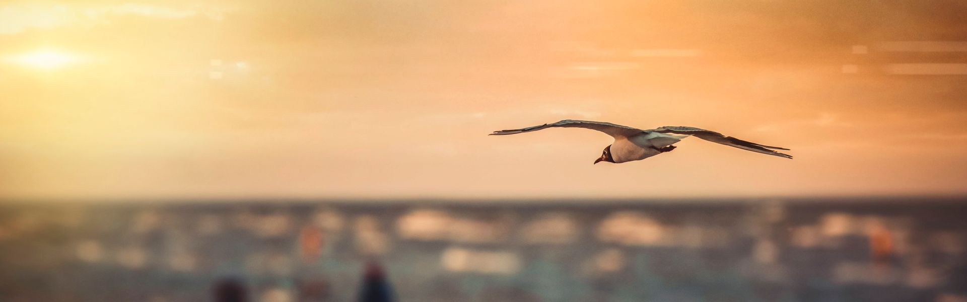 Offre de dernière minute au camping de la Côte Adriatique