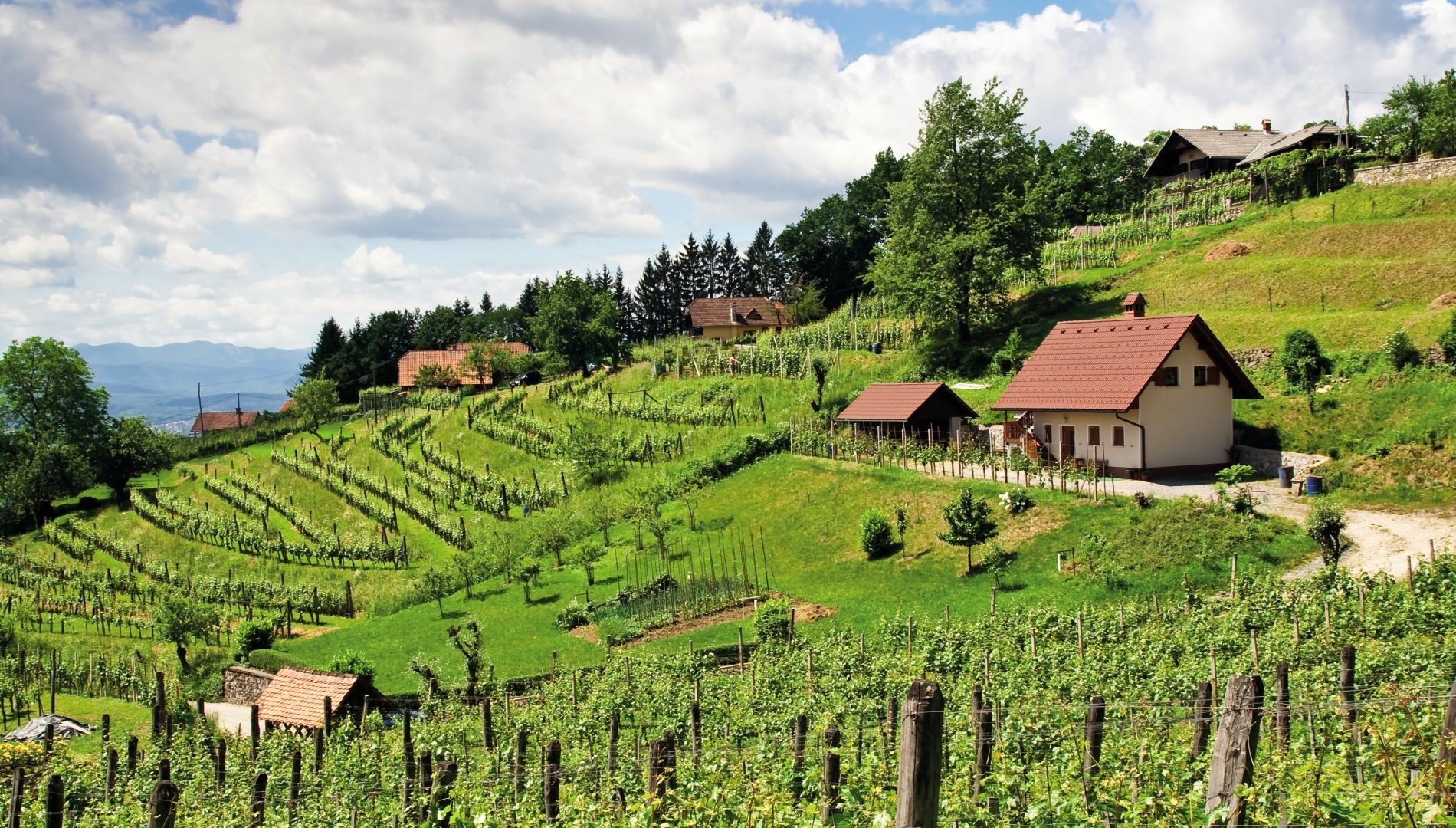 Camping Slovenie du sud